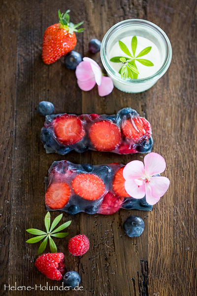 Sommerrollen, Früchte, vegan, Helene Holunder